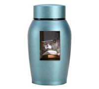 Genérico Conmemorativa para Mascotas - Pequeña Y Ligera Memorial Arn para Perros Y Gatos, Contenedor Conmemorativo De Acero Inoxidable | Diseño De Longevidad Que También Puede Acomodar Cenizas De per