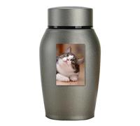 Genérico Conmemorativa para Mascotas - Pequeña Y Ligera Memorial Arn para Perros Y Gatos, Contenedor Conmemorativo De Acero Inoxidable | Diseño De Longevidad Que También Puede Acomodar Cenizas De per