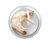 Genérico Cooling Dog Bed, 15.7 Inch Non-Slip Aluminum Pet Cooling Pad for Cats and Small Dogs, Portable Washable Crate Mat for Hot Weather Indoor Outdoor Use, Travel, Kennel Floor, Sleeping Bed