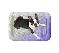 Genérico Cooling Mat Dogs, Splashproof Pet Ice Pad, 19.69x15.75in Portable Cooling Bed, Comfortable Relaxation Mats Crates for Puppies, Rabbits, Hamsters, Cats, Kitchen, Indoor, Outdoor Use
