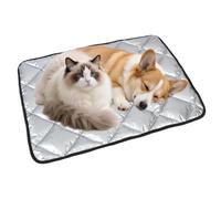 Genérico Cooling Mat for Dogs Anti-Slip Ice Silk Rug, 11.81×15.75 in