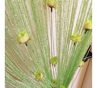 Genérico Cortina para Puerta, Cortina para Marco de Puerta - Cortina de Cuerda para con decoración de privacidad,Panel de Ventana, Cortinas de con diseño de Rosa, Marco de, Separador de ambientes