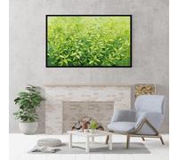Genérico Cuadro Decorativo De Hojas Verdes Y Hierba, 100% Pintado A Mano Con Textura Al Óleo, Sin Marco, Estética Para Sala De Estar O Dormitorio. Decoración Botánica Natural Para El Hogar. Hor