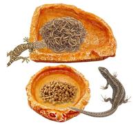 Generico Cuenco para Comida para Reptiles, para Agua para Reptiles | Platos para Agua para Comida ermitaño de 2 Piezas - Accesorio para Acuario, Cuencos para Agua para Reptiles, Cuenco para