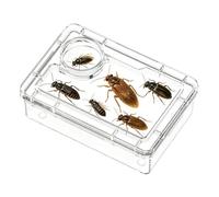 Genérico Cuenco Reptiles | Anti-Evasión con Compartimiento | Cuenco Bernard-Y - Para Hogar Y Oficina Terrarium Habitat Camaleón Bernard-L'Ermitaño Rana