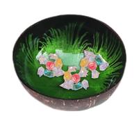 Generico Cuencos de cáscara de coco - Cuenco decorativo brillante | Ensalada, fruta, batidos, acai, decoración del hogar para mesa de oficina