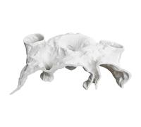 Generico Cueva para acuario, juguete cueva para peces betta camarones, refugio decorativo para juegos, descanso en casa - para bagre betta enano cobite cangrejo agua y marina