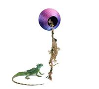 Genérico Cueva para Reptiles,Decoración Magnética Impresa en 3D - Pequeño Terrario para Tarántula | para Descanso y Enriquecimiento de Tarántula, Gecko, Rana, Camaleón, Mantis, Terrario
