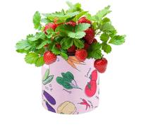 Generico Cultivar Bolsas de Verduras - de Cultivo de jardín Transpirable | Cultivar macetas de plantación de macetas para Plantar Verduras Hierbas Hierbas de Patata de Zanahoria Fresa