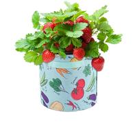 Generico Cultivar Bolsas de Verduras - de Cultivo de jardín Transpirable | Cultivar macetas de plantación de macetas para Plantar Verduras Hierbas Hierbas de Patata de Zanahoria Fresa