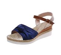 Genérico CuñAs Mujer Sandalias para mujeres Cuñas Sandalias Causales Zapatos del de los Classic Fit Sandals Zuecos Mujer Vestir (Blue, 37)