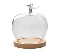 Genérico Cúpula De Vidrio - Campana Exhibidora 410g | Estuche Transparente, Vitrina Miniatura Flor Preservada, Centro Mesa Ornamental Con Peana Para Colección Uso Diario