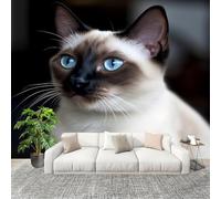 Genérico Decoración del hogar Fotomural 250x175cm Animal Gato SiaméS Primer Plano Papel Pintado Panorámico ExtraíBle Para Despegar Y Pegar Negro Para salón Dormitorios,Comedores HD Papel Tapiz