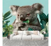 Genérico Decoración del hogar Fotomural 300x210cm Primer Plano Un Animal, Un Koala. Papel Pintado Panorámico ExtraíBle Para Despegar Y Pegar Verde Para salón Dormitorios,Comedores HD Papel Tapiz