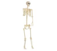 Genérico Decoración Halloween Esqueleto - Figuras Grandes De Esqueletos De Halloween Articuladas,Decoración Exterior Interior Jardín Patio Cementerio Fiesta