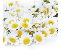 Generico Decoración para bodas pequeña flor artificial Daisy Head creativa y útil. Inteligencia práctica.