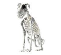 Generico Decoración para Esqueleto de Perro | Perro Esqueleto con Detalles óseos | Decoración de Fiesta 44 x 31 cm para Actividades domésticas Dormitorio