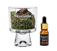 Genérico Diffusore Di Muschio Di Pino - Diffusore Passivo per Bottiglia, Diffusoree Olio Decorativo A Lunga Durata | Diffus0re Fragranze per La Casa, Diffus0re Olio Decorativo A Lunga Durata