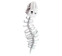 Genérico Dinosaur Costume Outfit, Plush Skeleton Halloween Dress Up Suit, Cosplay Accessory Set for All Ages, Best Themed Apparel Masquerade Birthday Holiday Carnival Event Performance