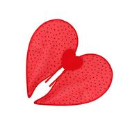 Genérico Disfraz De Alas De Ángel - Cupido Adulto De Malla En Forma De Corazón | Uso Ligero Y Sexy, Alas Falsas Para Mujeres, Cosplay, Día De San Valentín, Accesorios De Y Fotografía.