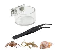 Genérico Dispensador de Agua Jumping Spider - Tazón magnético | Plato de Comida magnético para Jaula de tarántula, Mantis saltadora, pequeño alimentador de invertebrados Reptiles, ABS, Negro, 20ml.