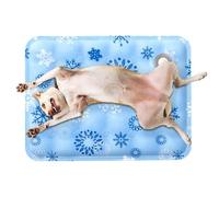 Genérico Dog Cooling Mat - 11.81x15.74in PVC Gel Pet Bed Pad, Heat Relief Cooling Pad, Portable Summer Pet Sleeping Mat, Water Filled Coolng Cushion | Comfortable Dog Pa For Small Heat Relief