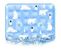 Genérico Dog Cooling Mat, Cooling Pad for Cats, Keep Cats Dogs Cool In Summer, Portable & Washable Pet Pad for Indoor Outdoor (D,50 * 40cm)