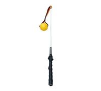 Genérico Dog Flirt Pole, Interactive Pet Exercise Toy, 31.5 Inches Stainless Steel Handle with Fiber Rod, Tug of War Play for Outdoor Puppies and Adult Dogs, Furry Friend