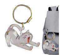 Genérico Dog Keepsake Box - 7x4.5cm Cat Hair Storage Box, Dog Hair Keepsake Keyring - Memorial Acrylic Clear Pendant Key Chain For Men Charm Purse Collection Backpack Women Bag