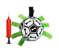 Genérico Dog Tug Ball, Pet Chew Toy, Puppy Fetch Game, Interactive Grip Ball with Handle Tags for Playtime Training, Outdoor Water Activities Yard Exercise Fun, Includes Random Color Pump