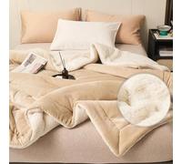 Genérico Double Layer Thickened Lamb Plush Blanket,Solid Color Reversible Milk Velvet Blanket,Winter Soft Warm Bed Blankets,Fluffy Fuzzy Blanket for Couch Bed Sofa Chair