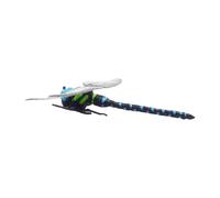 Genérico Dragonfly Decor - 4.72 Inch Fake Dragonfly | PVC Realistic Decor - Outdoor Fly Garden Patio Hanging Decors For Stem Learning Kids Classroom Stroller Display Use