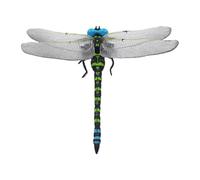 Genérico Dragonfly Toy - Decorative Garden, Educational Wildlife Model For Kids Learning, Hanging Display Figure, Nature Exploration Aid | Portable Stroller Ornament, Yard,