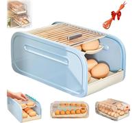 Genérico Egg Holder,2-Tier Automatic Rolling Stackable Storage, Large Capacity Fridge Egg Organizer, for Freezer Pantry Cabinet Home Apartment Restaurant Farmhouse Camping RV Family (Blue)