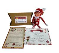 Genérico Elfo Travieso Personalizado (Elves Behavin Badly) Original | Navidad | Regalo