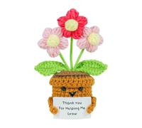 Genérico en flores de ganchillo en maceta, decoración de oficina artesanal de , para mamá, profesor, graduación de cumpleaños, día de la madre, amigas y mujeres