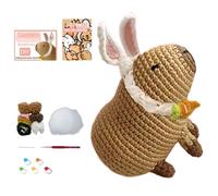 Genérico Ensemble de fils à crochets, jouet en laine ée,Ensemble de | de pour débutant, accessoires de pour et adultes
