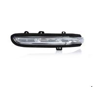 Genérico Espejo Retrovisor Coche Luz Señal Giro Lámpara Luz Intermitente Retrovisor Para Ford Para Territory EV, Para Jiangling Para Yusheng S330 2019-2023 Indicadora Los Espejos Laterales(Izquierda)