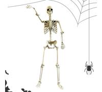 Genérico Esqueleto Halloween Grandeur Nature 90cm Decoraciones de Halloween