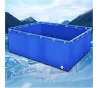 Genérico Estanque portátil de PVC Duradero para Carpas koi y Peces Dorados - Piscina elevada de 300x100x60 cm, Ideal para Uso en Exteriores e Interiores, Ranas, riego y decoración de ja