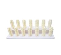 Genérico Estante For Rollos De Tela, Soporte For Papel Tapiz, Exhibidor De Adhesivos con Apariencia De Madera, Organizador De Rollos De Piso Comercial, For Organización De Planos(100x30x33cm)