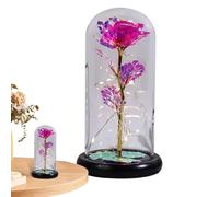 Genérico Eternal in Glass, Light Up in Glass, Eternal Flowers, Creative LED Light , Romantic Rainbow Christmas Flower for Women, Wife, for Or Special Occasion