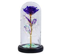 Genérico Eternal Preserved Rose, LED Glass Dome Light-Up Flower Ornament, Romantic Colorful Rainbow Rose Gift for Women, Girlfriend, Birthday, and Holiday Decorations