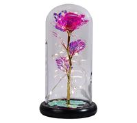 Genérico Eternal Preserved Rose, LED Glass Dome Light-Up Flower Ornament, Romantic Colorful Rainbow Rose Gift for Women, Girlfriend, Birthday, and Holiday Decorations
