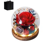 Generico Eternal Rose - Glass Globe 13 x 12 cm | Forever Preserved Flower Decoration | Long Lasting Aesthetic Rose Gift for Mother Girlfriend Women for Valentine's Day Women's Day Birthday