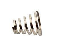 Genérico Fahrrad-Schnellspanner-Federn - 10 Stück Edelstahl Schaftfeder | Ersatz Fahrrad Achse Schnellspannhebel Wellenfeder | Universal Einfache Montage Radsport Reparatur Zubehör