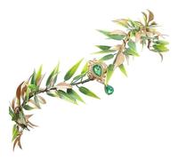 Genérico Fairy Headpiece - Green Flower Goddess Tiara | Elegant Renaissance Cosplay Accessory With Floral Details, Perfect For Women And Girls At Festival, Wedding, Halloween Party, Or Photoshoot