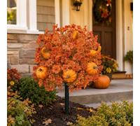 Genérico Fall Artificial Flowers for Outdoors with Ground Stakes (B)