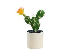 Genérico Falso Cactus - De Cactus Artificial | Suculentas en Maceta Falso | Parece A La Realidad Con Atención Al Detalles Y Espinas Dulces | Ideal para La Decoración Interior de un Bu