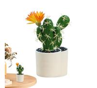 Genérico Falso Cactus - De Cactus Artificial | Suculentas en Maceta Falso | Parece A La Realidad Con Atención Al Detalles Y Espinas Dulces | Ideal para La Decoración Interior de un Bu